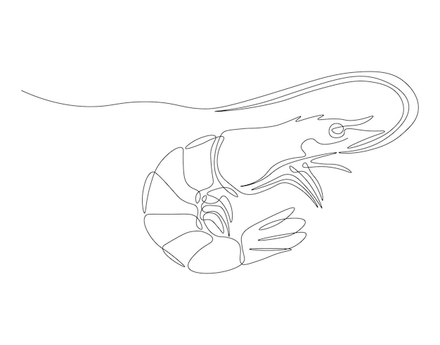 Dibujo continuo de una línea de camarón Ilustración de un dibujo de una linea de camarón Animales marinos