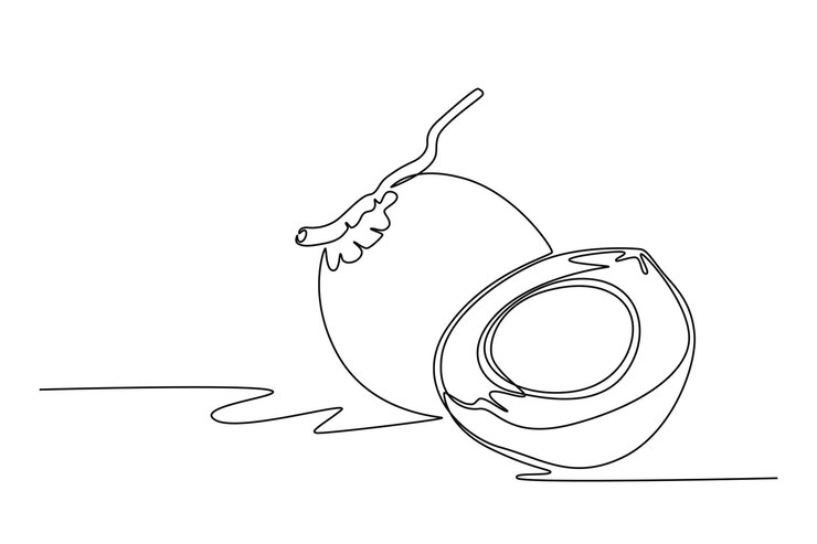 Vector dibujo continuo de una línea de coco orgánico dulce y saludable entero y cortado para la identidad del logotipo del huerto concepto de frutas frescas para el icono del huerto de frutas dibujo de línea única ilustración gráfica vectorial de diseño