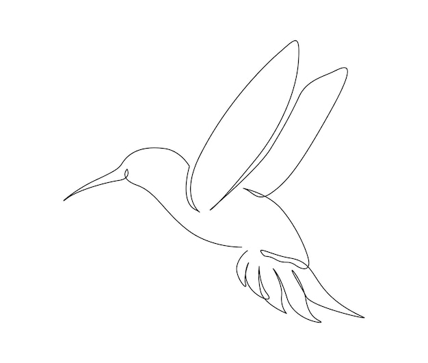 Dibujo continuo de una línea de collibri Ilustración de vector de contorno de pájaro volador abstracto de colibrí