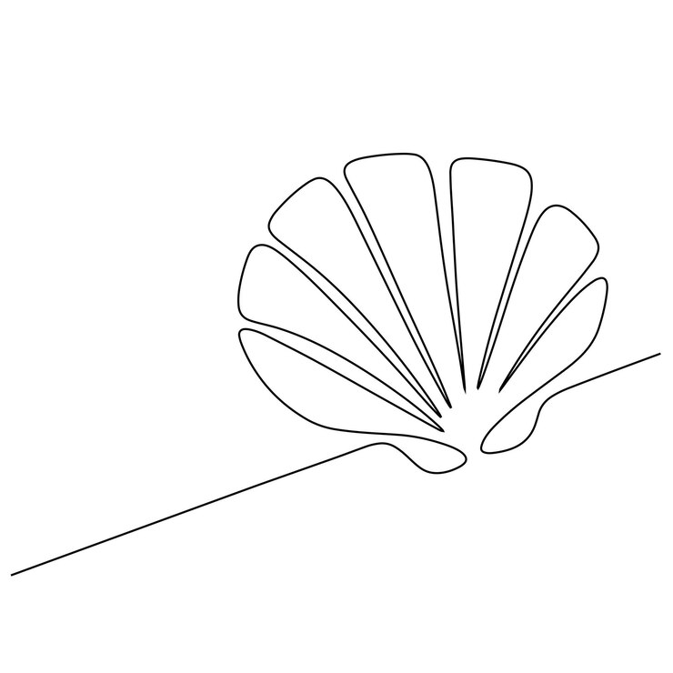 Vector dibujo continuo de una línea de concha de ostra vector de molusco de concha de mar xa
