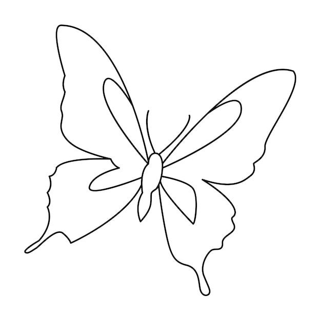 Dibujo continuo de una línea de diseño de ilustración vectorial de aves mariposa