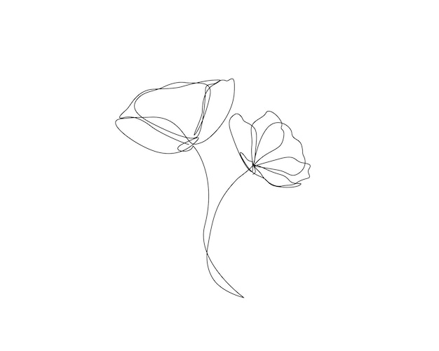 Dibujo continuo de una línea de la flor de amapola minimalista