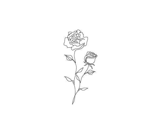 Vector dibujo continuo de una línea de flores de rosas contorno de la flor de rosas