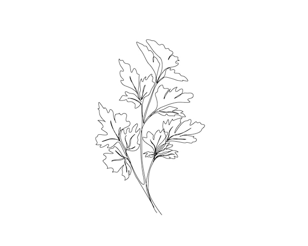 Dibujo continuo de una línea de hojas de apio