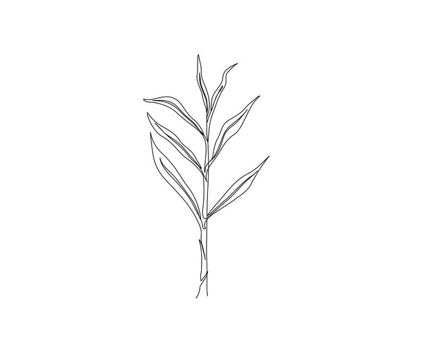 Dibujo continuo de una línea de hojas de jengibre