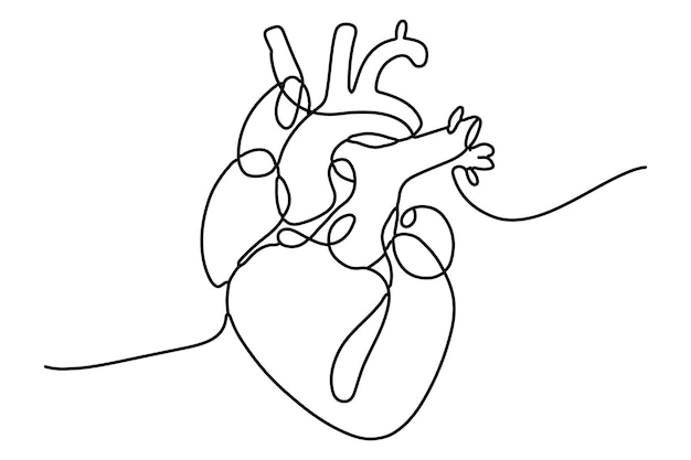 Dibujo continuo de una línea de la ilustración vectorial del corazón