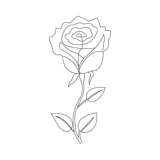 dibujo continuo de una línea a mano flor de rosa Ilustración vectorial de arte