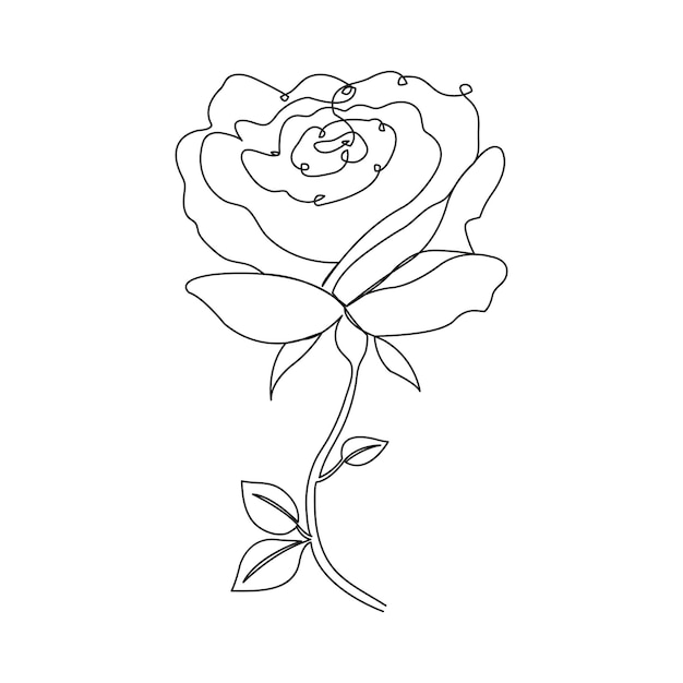dibujo continuo de una línea a mano flor de rosa Ilustración vectorial de arte