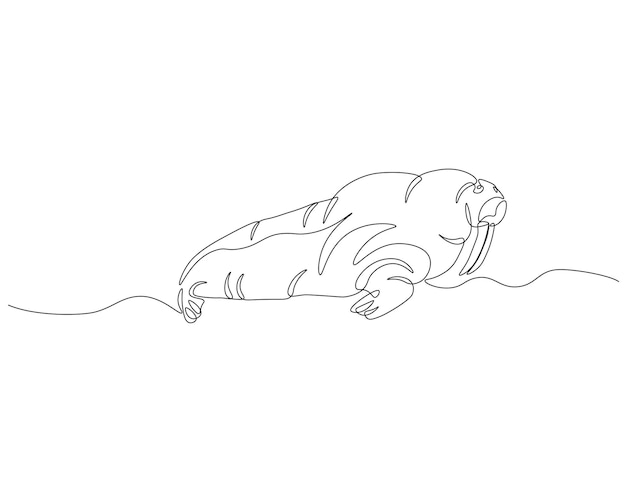 Dibujo continuo de una línea de la morsa del océano Ilustración de un dibujo continuo de la foca del océano Concepto de animal mamífero marino Arte de línea continua Esbozo editable