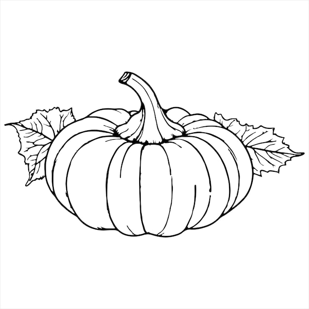 Un dibujo continuo de una línea negra de calabaza halloween cosecha de otoño contorno boceto garabateo