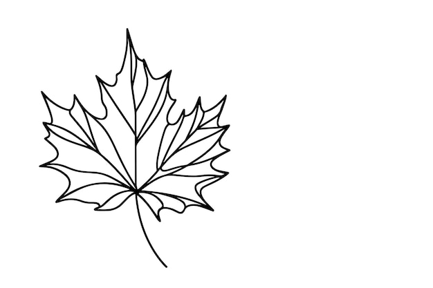 Un dibujo continuo de una línea negra del icono de la hoja de arce contorno de dibujos vectoriales