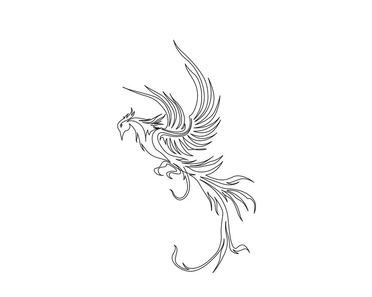 Vector dibujo continuo de una línea del pájaro fénix