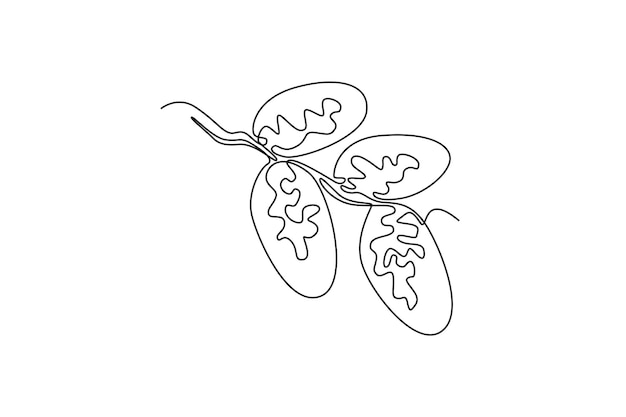 Dibujo continuo de una línea pila de fechas de frutas dulces orgánicas saludables para la identidad del logotipo del huerto Arabia Saudita concepto de frutas para el icono del huerto de frutas dibujo de una sola línea diseño de ilustración gráfica vectorial