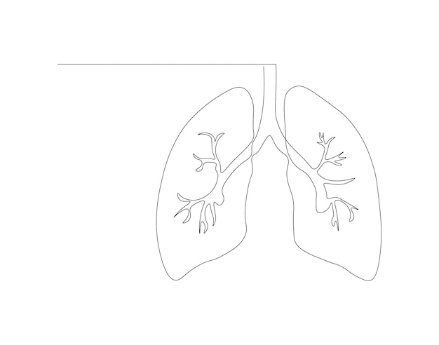 Un dibujo continuo de una línea de los pulmones humanos Una línea de pulmones humanos anatómicos Concepto interno médico Arte de línea continua Esbozo editable