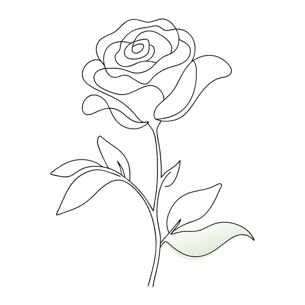 Dibujo continuo de una línea Rosa Arte de línea Minimal Abstracto Flor hermosa 17