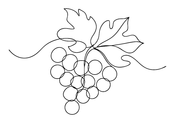 Vector dibujo continuo en una línea de uvas arte minimalista de frutas