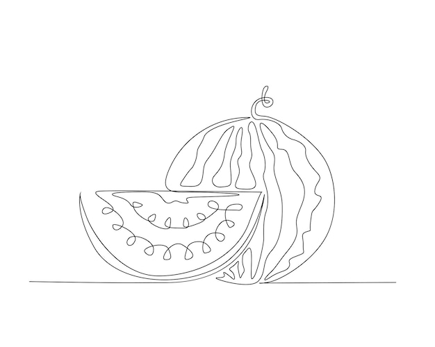 Dibujo continuo de una línea de un vector de contorno de sandía entera y cortada en rodajas