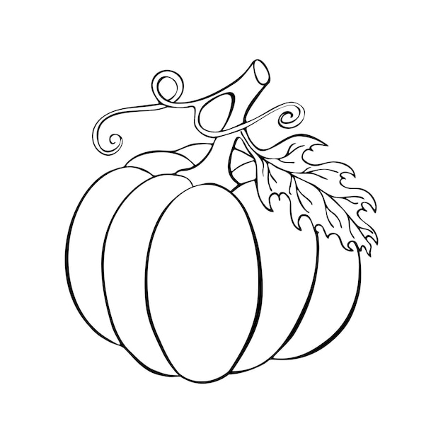 Dibujo de contorno de calabaza garabato, halloween, silueta de color negro, aislado, fondo blanco