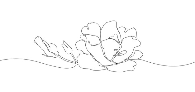 Dibujo de contorno de flor rosa sobre un fondo blanco. Rose dibujo continuo de una línea.