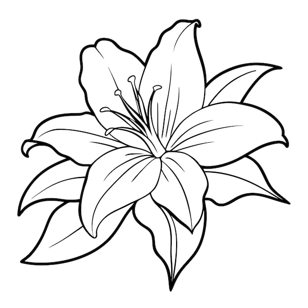 dibujo de contorno floral de lujo páginas de libro de colorear boceto de arte de línea para dibujo de mano de bebé