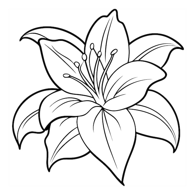 dibujo de contorno floral de lujo páginas de libro de colorear boceto de arte de línea para dibujo de mano de bebé