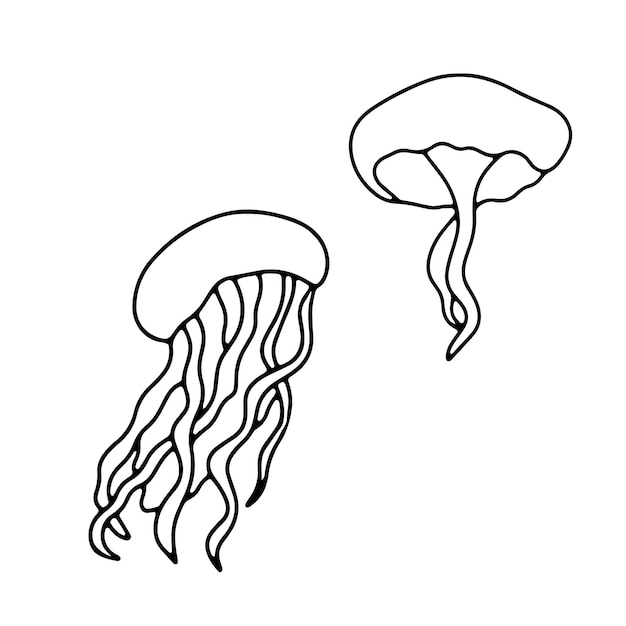 Dibujo de contorno vectorial medusas aisladas sobre fondo blanco Conjunto de animales marinos de línea