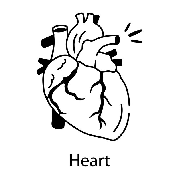 un dibujo de un corazón que dice corazón y la palabra corazón