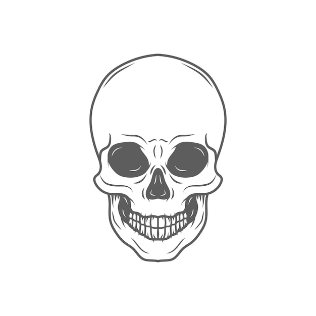 Dibujo de cráneo humano