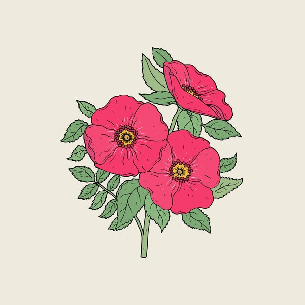 Dibujo detallado de hermosas rosas para perros que crecen en tallo con hojas