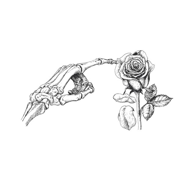 Dibujo dibujado a mano esqueleto y rosa en vector