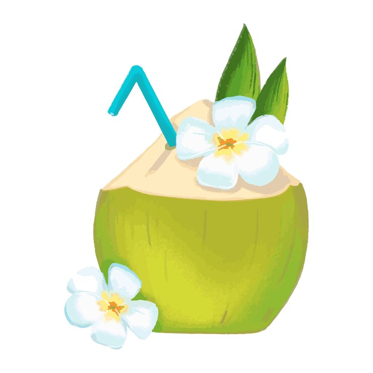 Vector un dibujo de dibujos animados de un coco con paja y flores.