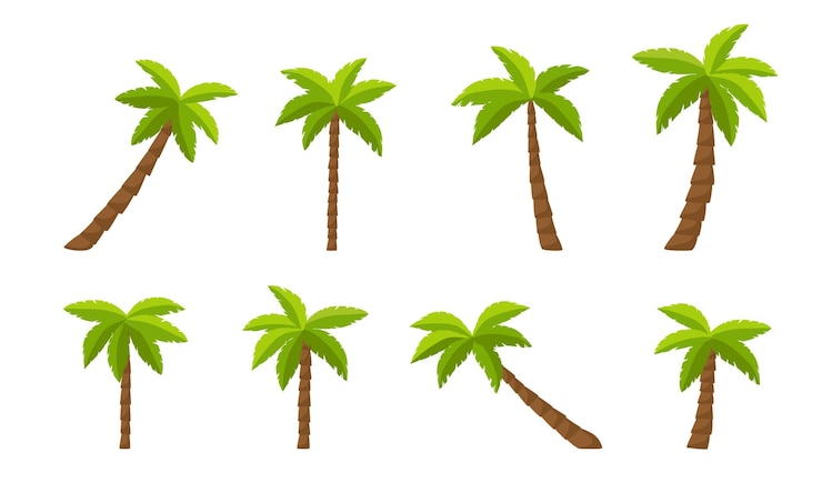Vector un dibujo de dibujos animados de palmeras conjunto de palmeras ilustración vectorial con palmera