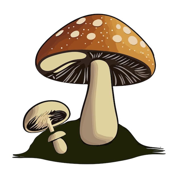 Dibujo de dibujos animados de setas aislado en la ilustración de vector blanco