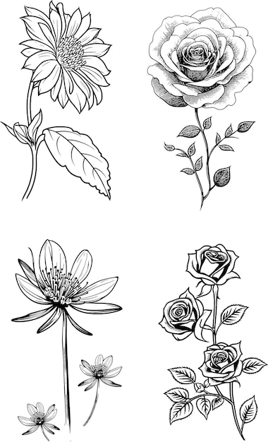 Un dibujo de diferentes flores y hojas.