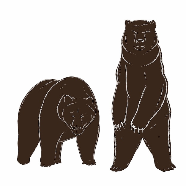 Vector un dibujo de dos osos parados uno al lado del otro.