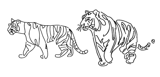 Un dibujo de dos tigres y un tigre.