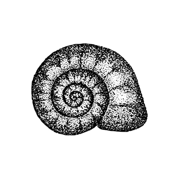 Dibujo Dotwork de concha de caracol