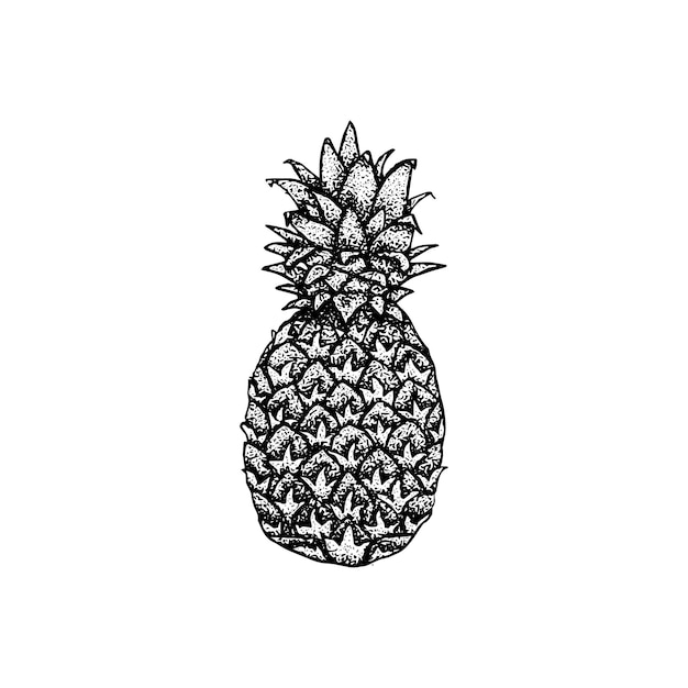 Dibujo Dotwork De Piña