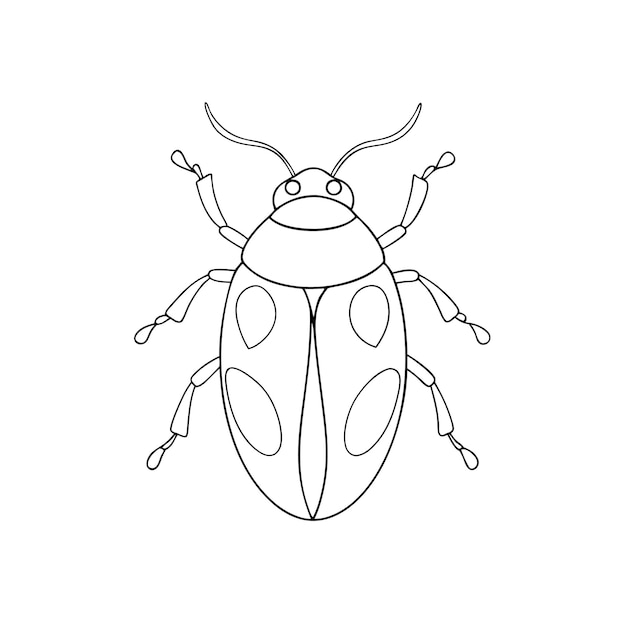 un dibujo de un escarabajo con un contorno negro