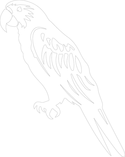 un dibujo de un esqueleto con un esqueleta en él
