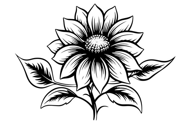 Vector dibujo de estilo de grabado vectorial ilustración vectorial de dibujo de tinta de girasol