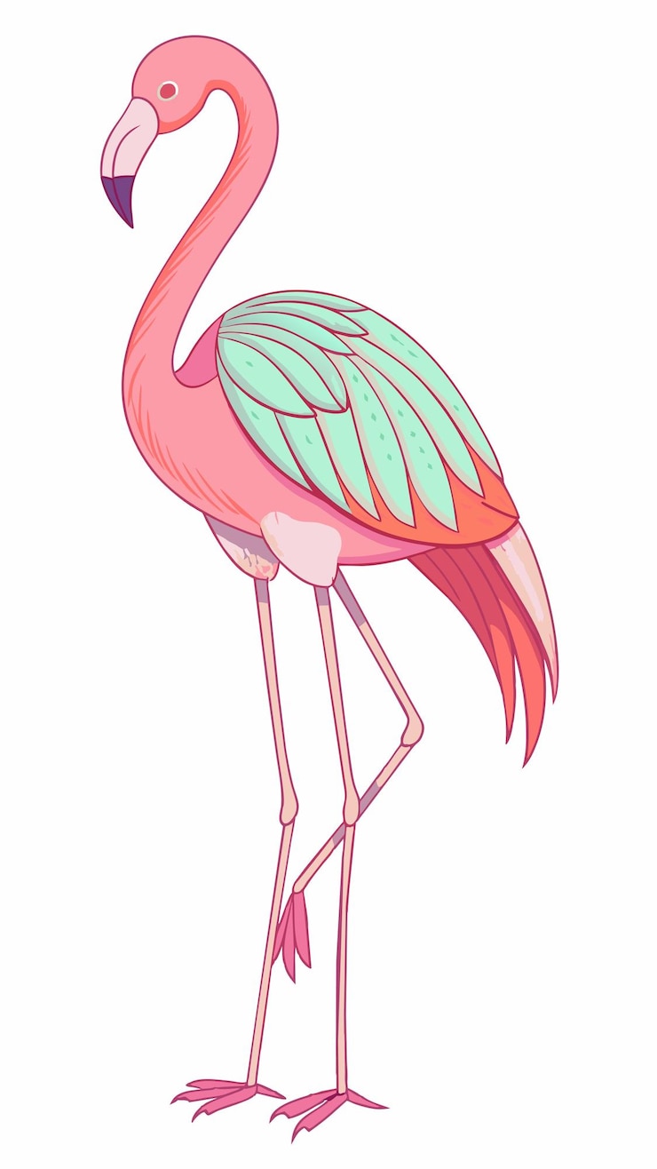 Vector un dibujo de un flamenco rosa con plumas verdes y rosas