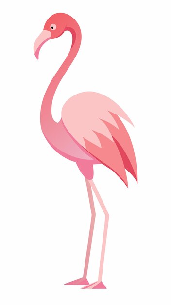 un dibujo de un flamenco rosado con un fondo rosado