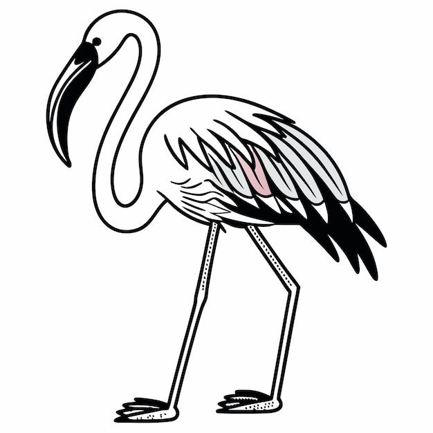 un dibujo de un flamingo con un flamengo rosado en él