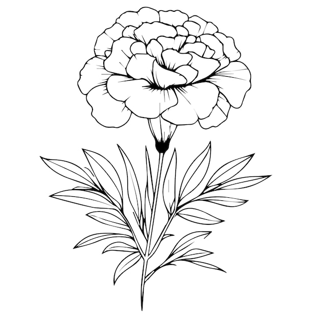 dibujo de flor de caléndula diseños de tatuajes de flores de nacimiento de octubre tatuaje de flores de octubre en blanco y negro