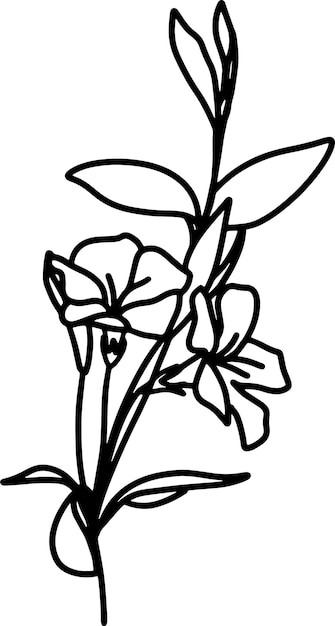 un dibujo de una flor con un contorno negro y un fondo blanco
