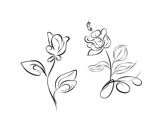 Un dibujo de una flor con un contorno negro.