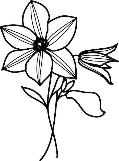 un dibujo de una flor con un contorno negro