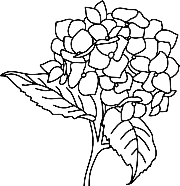 un dibujo de una flor con un dibujo en línea de flores