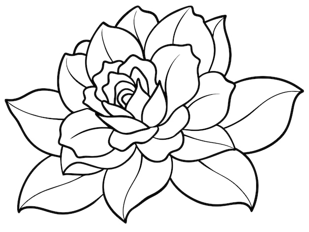 un dibujo de una flor con un dibujo en línea de una rosa roja